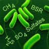 Bactéries sulfato réductrices effet sur le biogaz